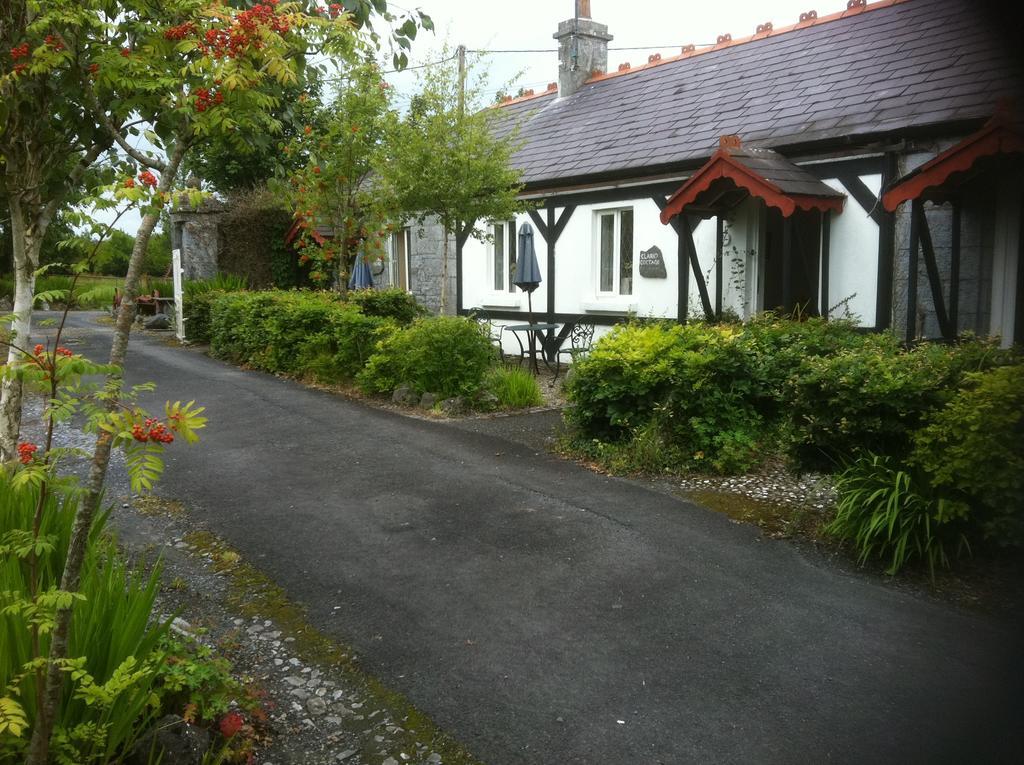 Bed and Breakfast Caheroyn House Athenry Exterior foto