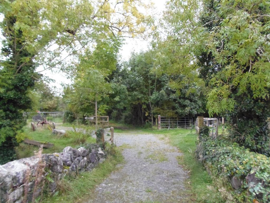 Bed and Breakfast Caheroyn House Athenry Exterior foto